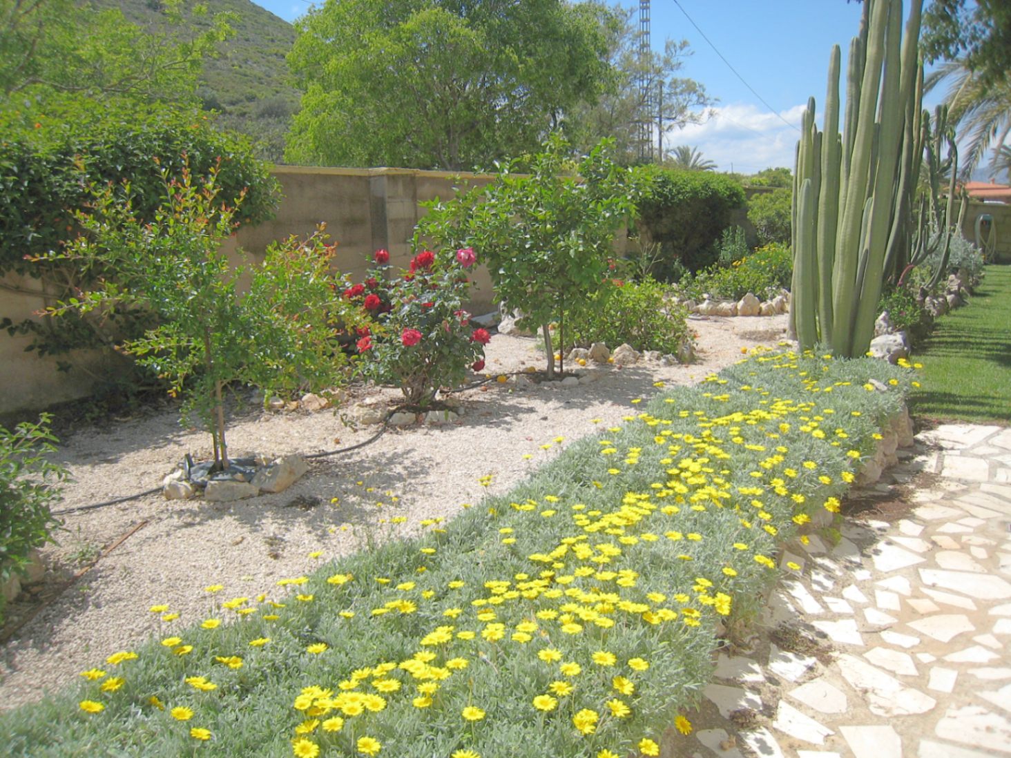 Opportunità in vendita vicino a Denia a la Xara